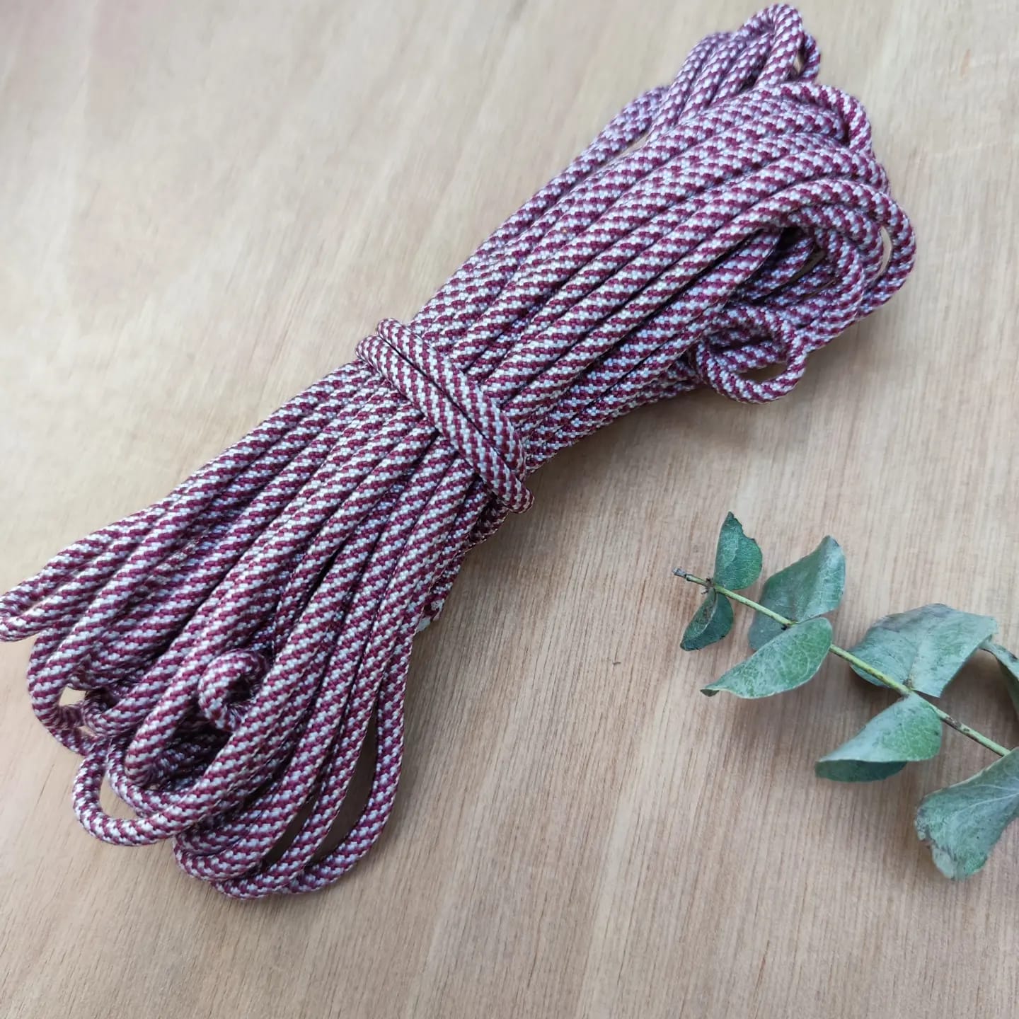 Paracord